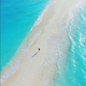 Meet your Posher, Dina